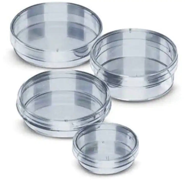 Fisherbrand™ Polystyrene Petri Dishes